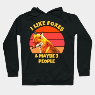 I Like Foxes and Maybe 3 People Hoodie